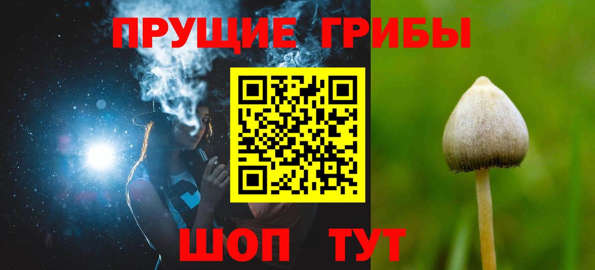 Дзержинск  Псилоцибиновые грибы Cubensis  Псилоцибиновые грибы мицелий  Вход с VPN 